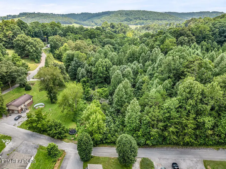 0 Forest Meadows Lane, New Tazewell, TN 37825 - #3