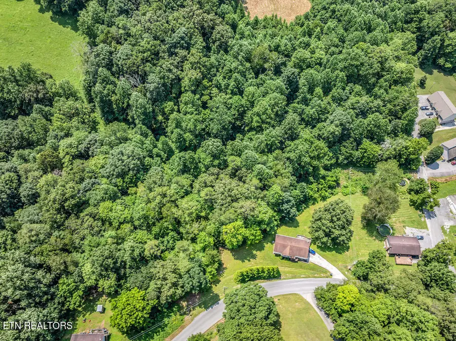 0 Harmon Rd, New Tazewell, TN 37825 - #3