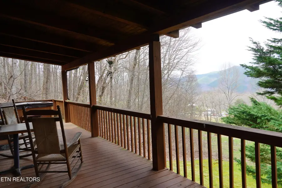 994 Emilyville Way, Cosby, TN 37722 - #3