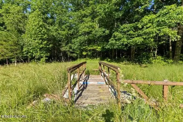 2540 Gatewood Ford Rd, Deer Lodge, TN 37726 - #3