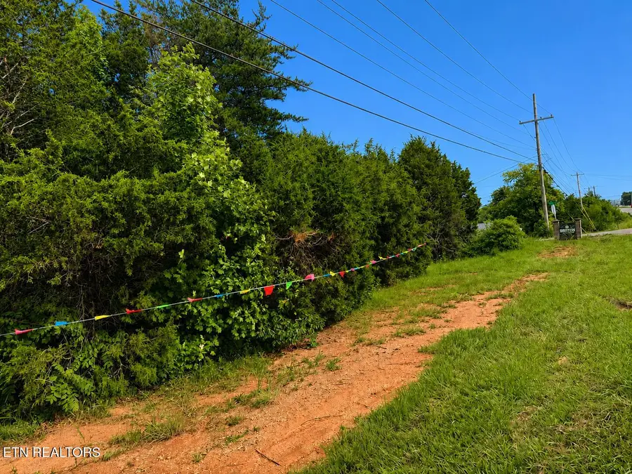 6997, 6989 W Andrew Johnson, 111 Britton Hwy, Talbott, TN 37877 - #3