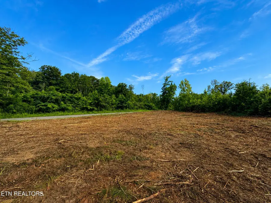Boiling Springs Rd, Vonore, TN 37885 - #3