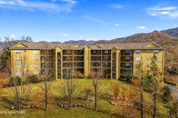 338 Pinnacle View Way #132, Gatlinburg, TN 37738