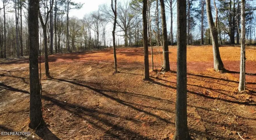 969 County Rd, Delano, TN 37325 - #3