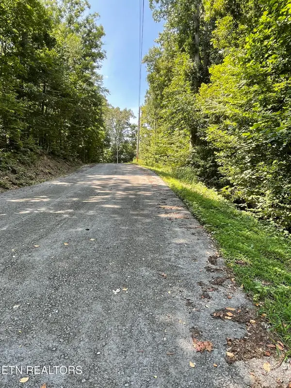 Lot 926 Stoneway Court, Baneberry, TN 37890