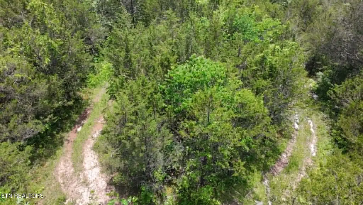 00 Mulberry Gap Rd, Sneedville, TN 37869 - #1