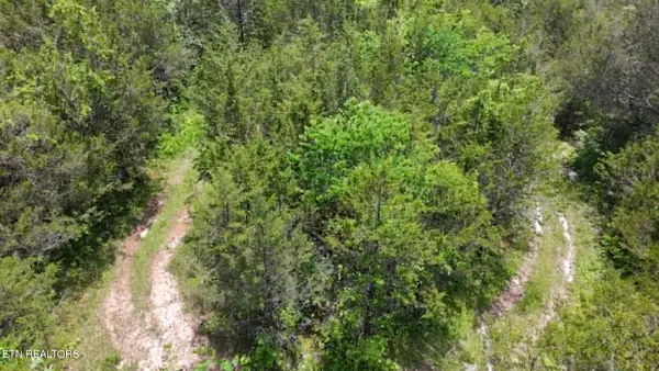 00 Mulberry Gap Rd, Sneedville, TN 37869