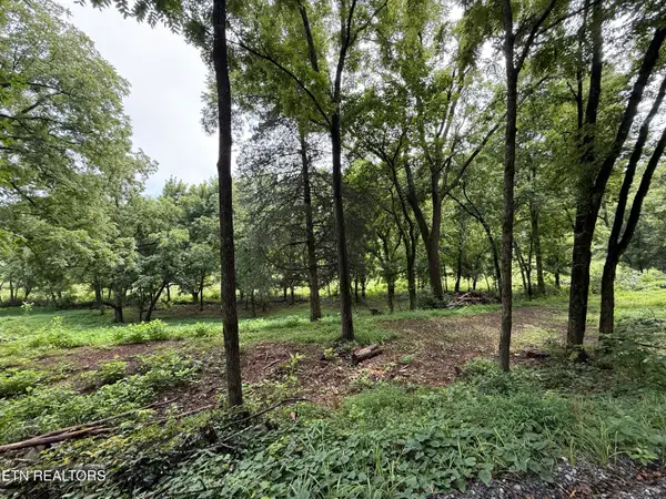 Lot 1 Mitchell Rd, New Market, TN 37820