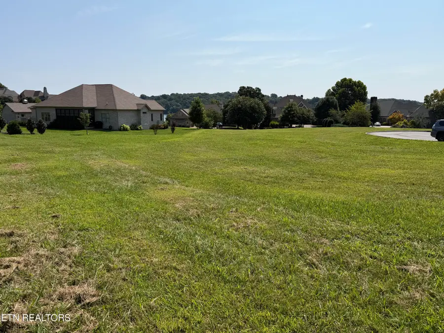 235 Goldfinch Lane, Vonore, TN 37885 - #2