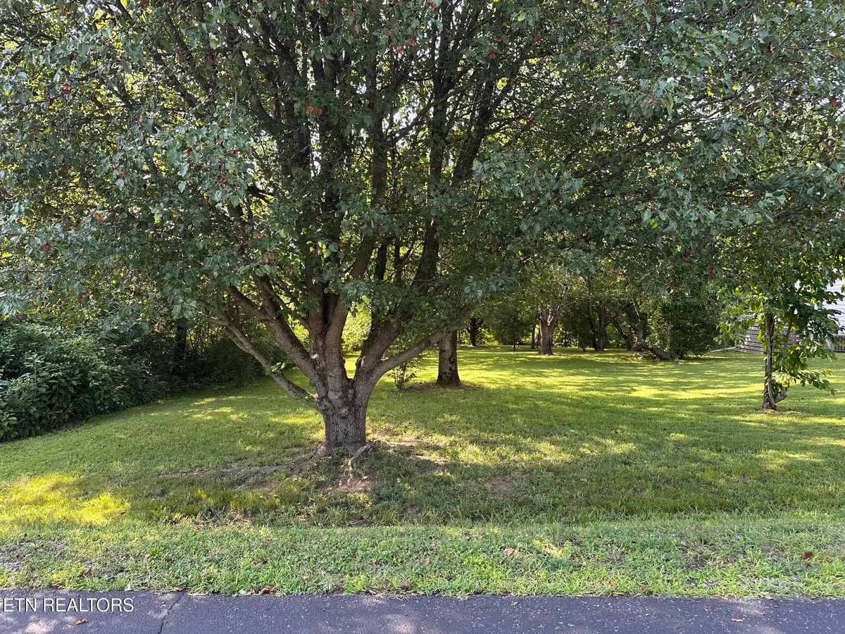 135 Ogana Way, Loudon, TN 37774 - #1