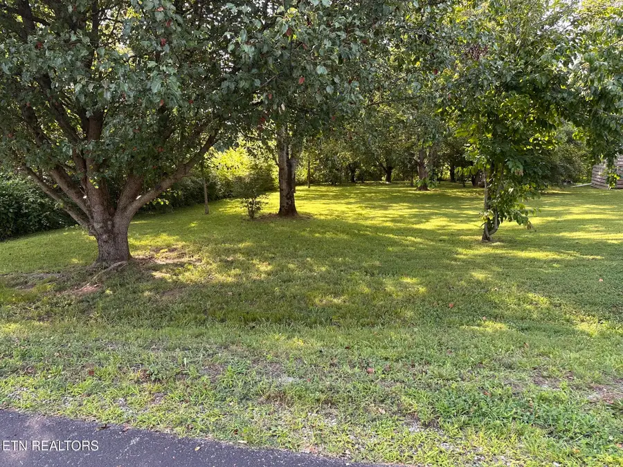 135 Ogana Way, Loudon, TN 37774 - #3