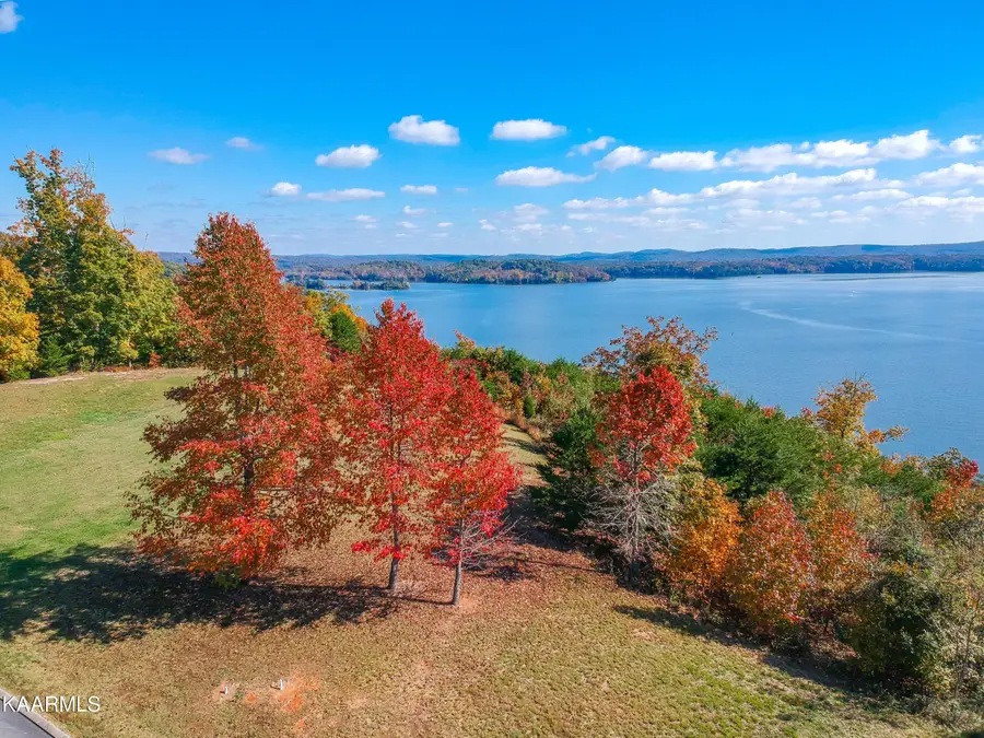 245 River Run Tr, Spring City, TN 37381 - #2