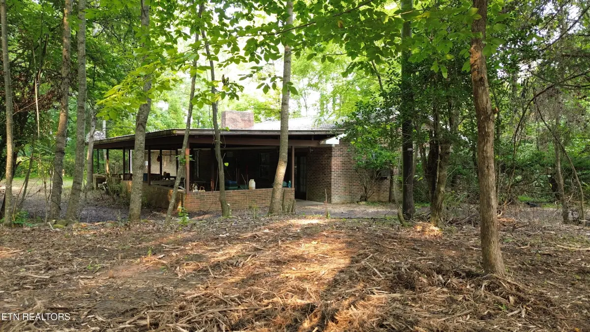 276 Oak Drive, Spring City, TN 37381 - #1