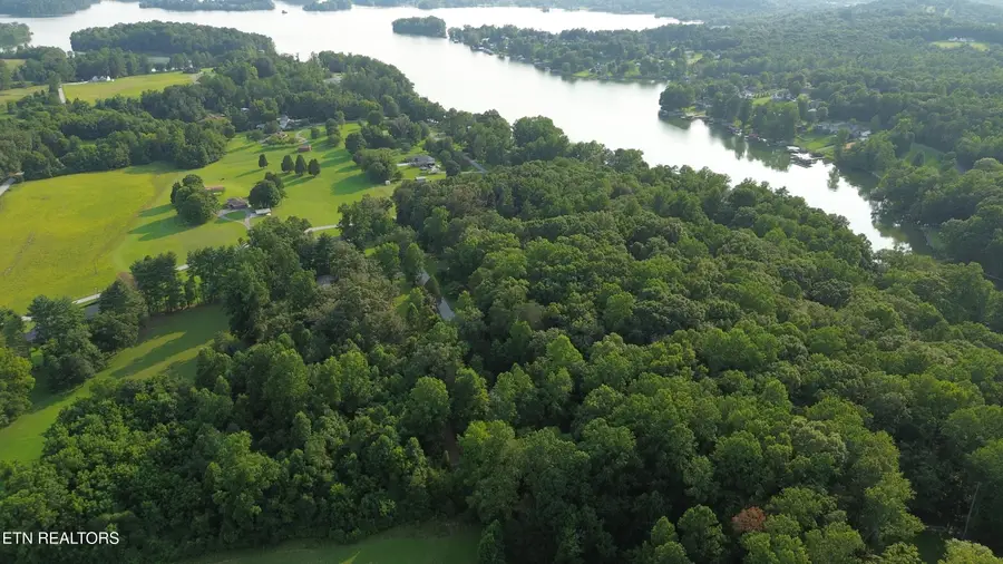 276 Oak Drive, Spring City, TN 37381 - #3