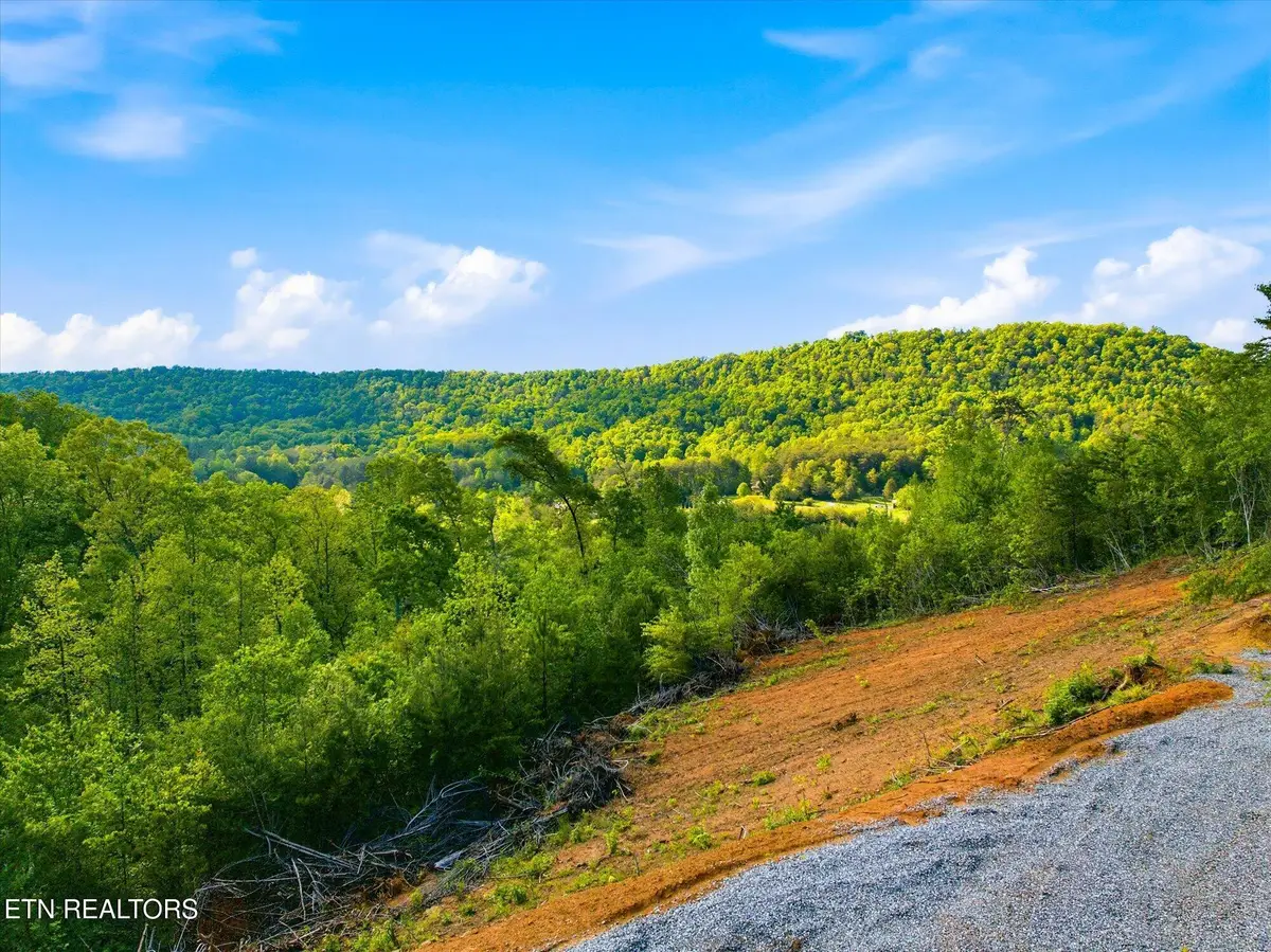 1776 Fairview Rd, Tellico Plains, TN 37385 - #1