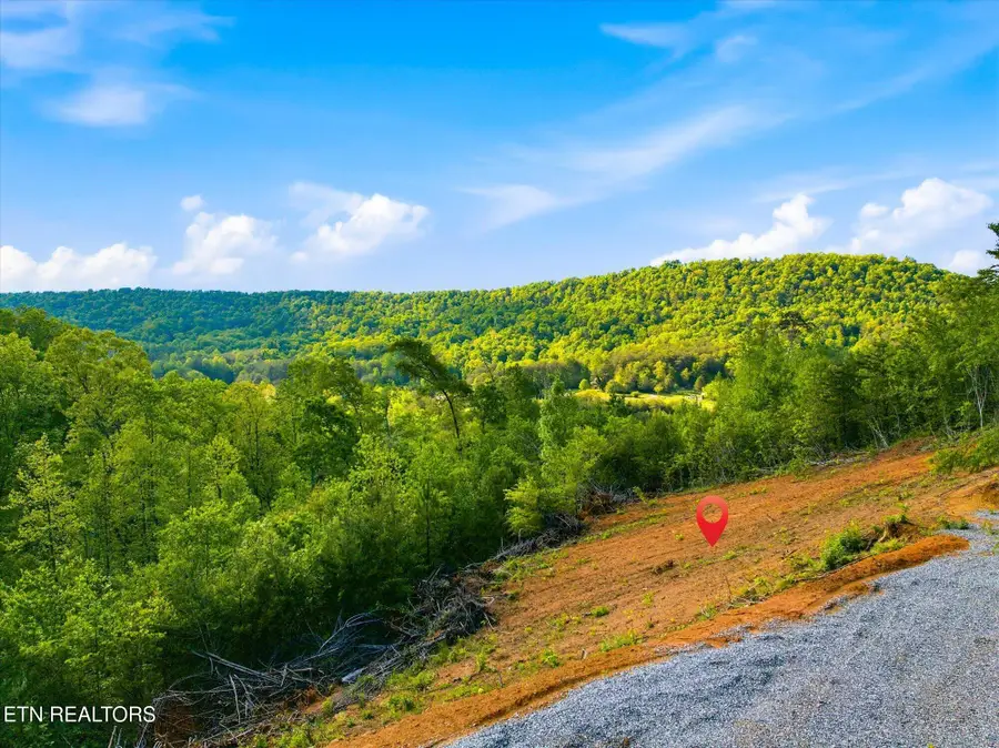 1776 Fairview Rd, Tellico Plains, TN 37385 - #2