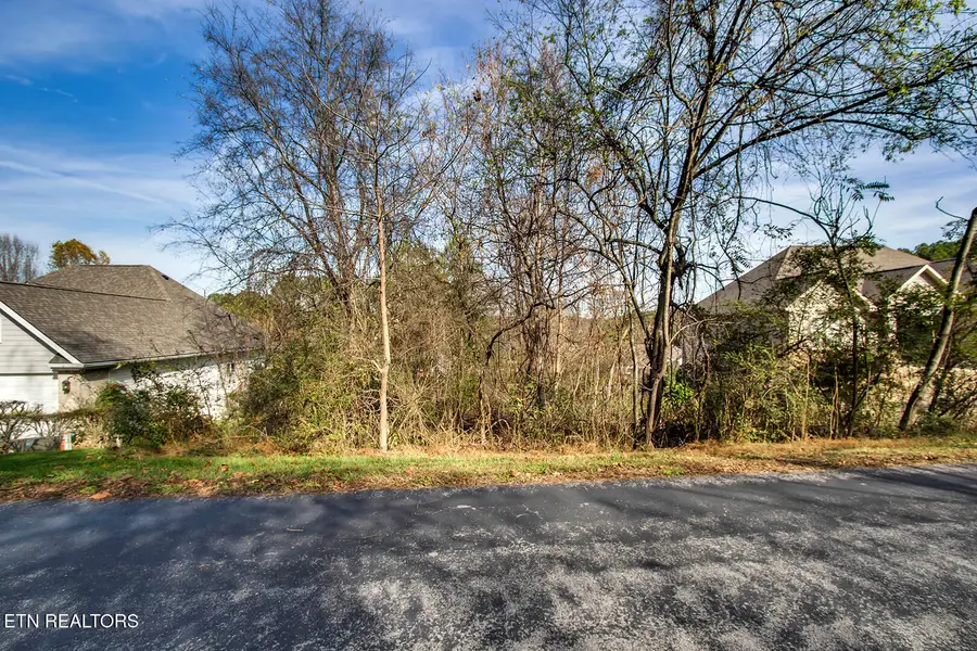 306 Awohili Lane, Loudon, TN 37774 - #2
