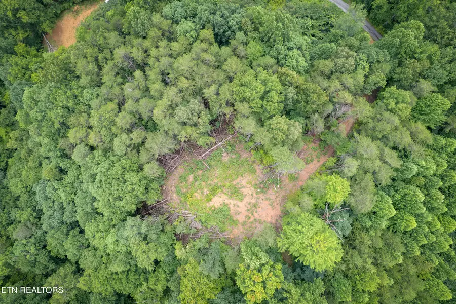 Lot 2 Verless Ogle Rd, Sevierville, TN 37876 - #2