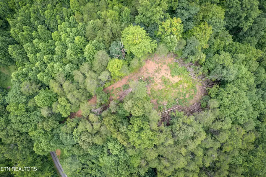 Lot 2 Verless Ogle Rd, Sevierville, TN 37876 - #3