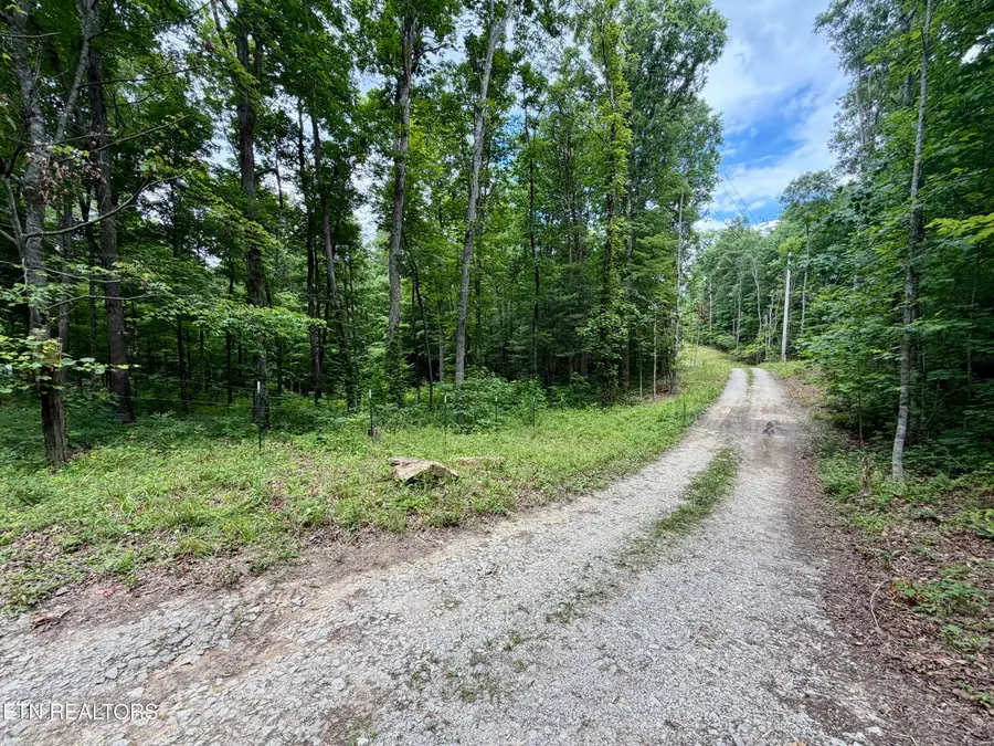 402 Paradise Lane, Deer Lodge, TN 37726 - #2