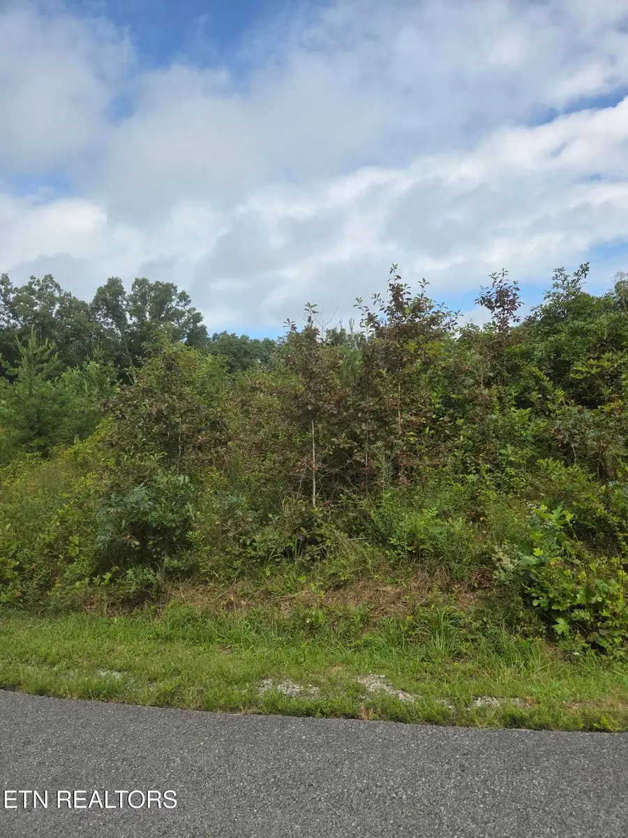 Frost Creek Drive, Crossville, TN 38571 - #3
