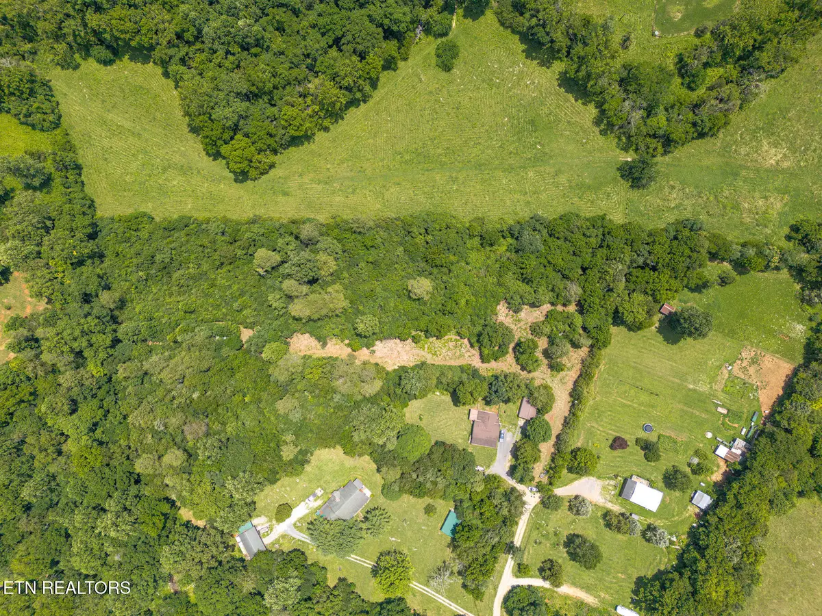 lot 2 Thomas Ed Roach Lane, Blaine, TN 37709 - #1