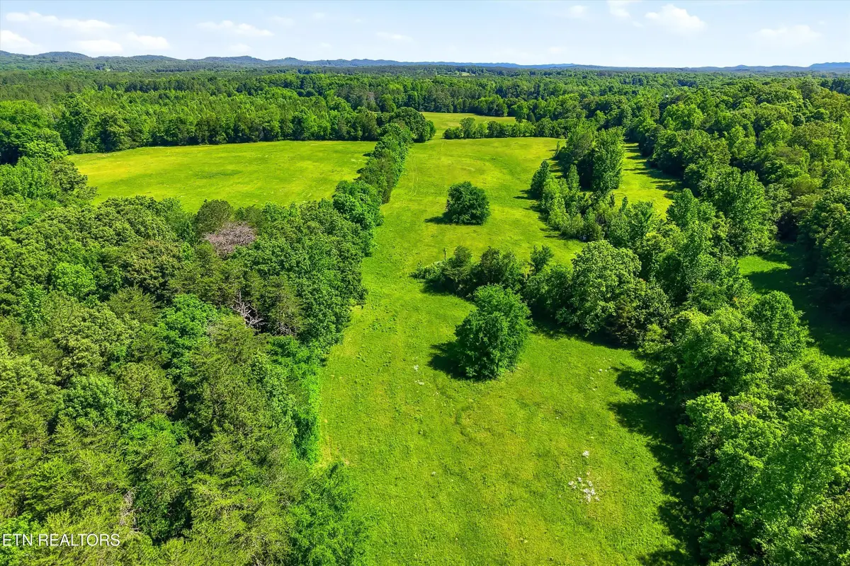 6 Highway 163, Riceville, TN 37370 - #1