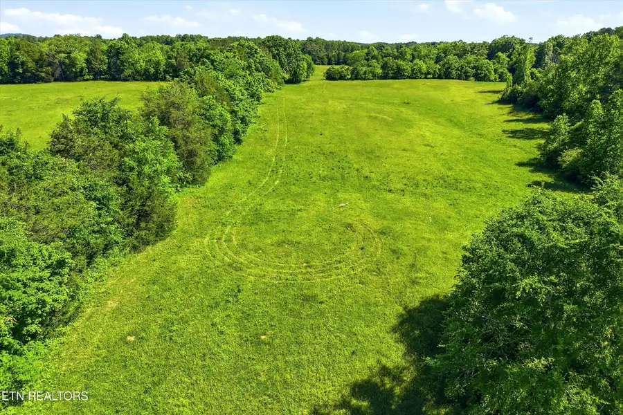 6 Highway 163, Riceville, TN 37370 - #2