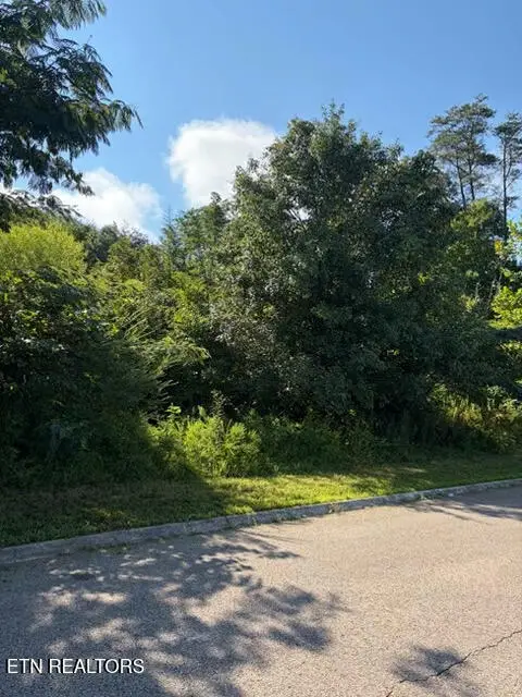 7659 Pennyroyal Drive, Knoxville, TN 37920
