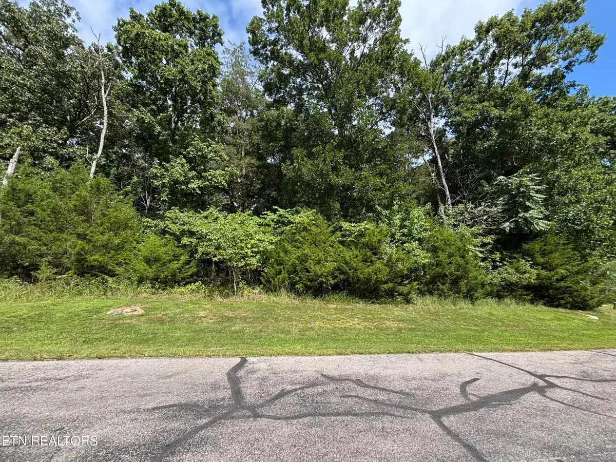 Bay Shore Drive, Rockwood, TN 37854 - #1