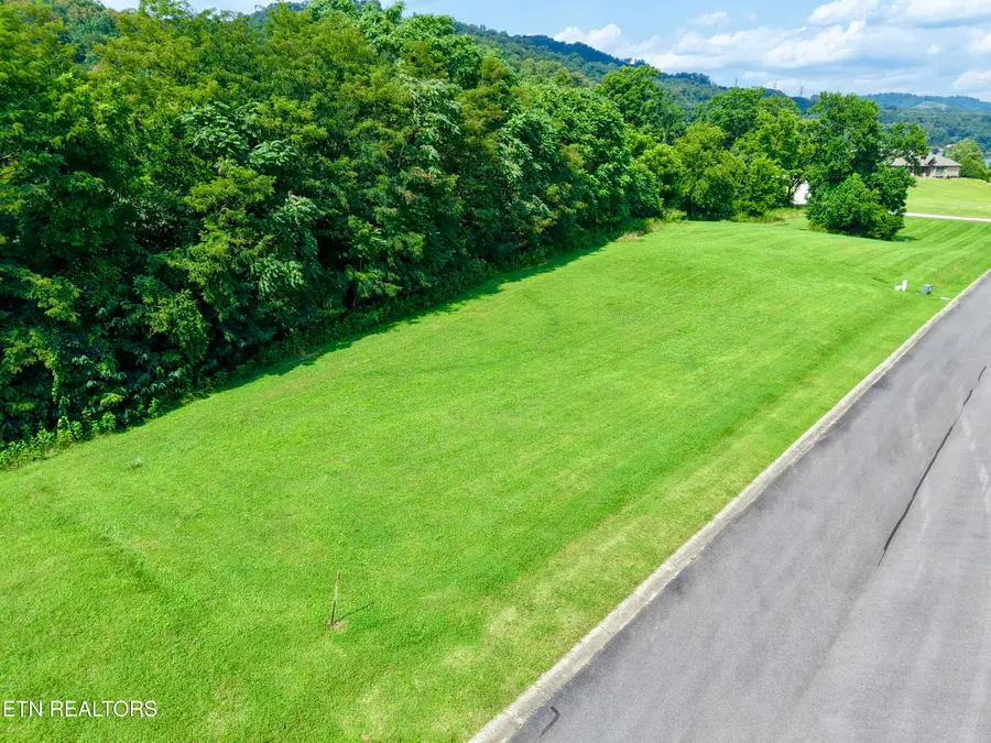 5043 Serenity Drive, Mooresburg, TN 37811 - #2