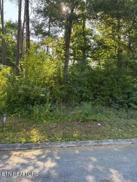 7665 Pennyroyal Drive, Knoxville, TN 37920