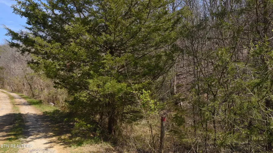 912 Coolie King Rd, Kodak, TN 37764 - #3