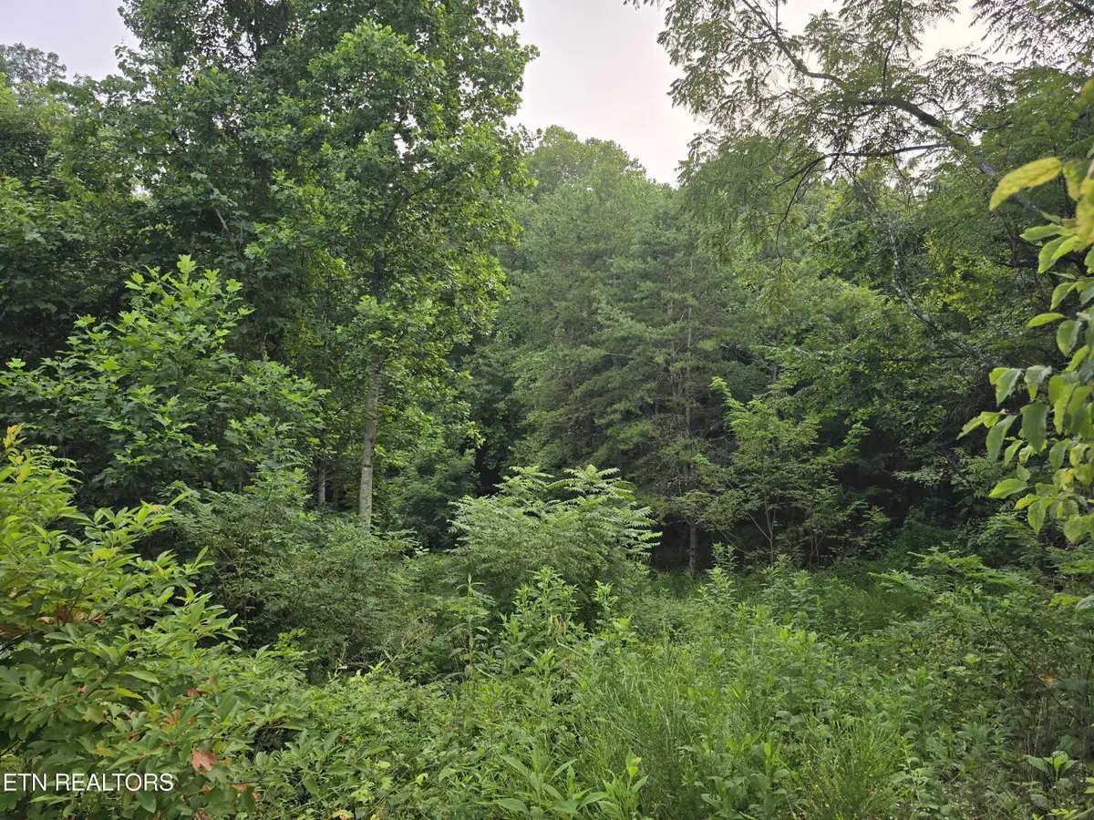 Volunteer Rd, Rutledge, TN 37861 - #1