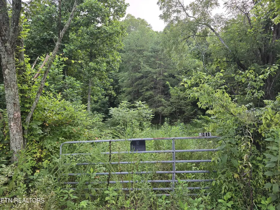 Volunteer Rd, Rutledge, TN 37861 - #2