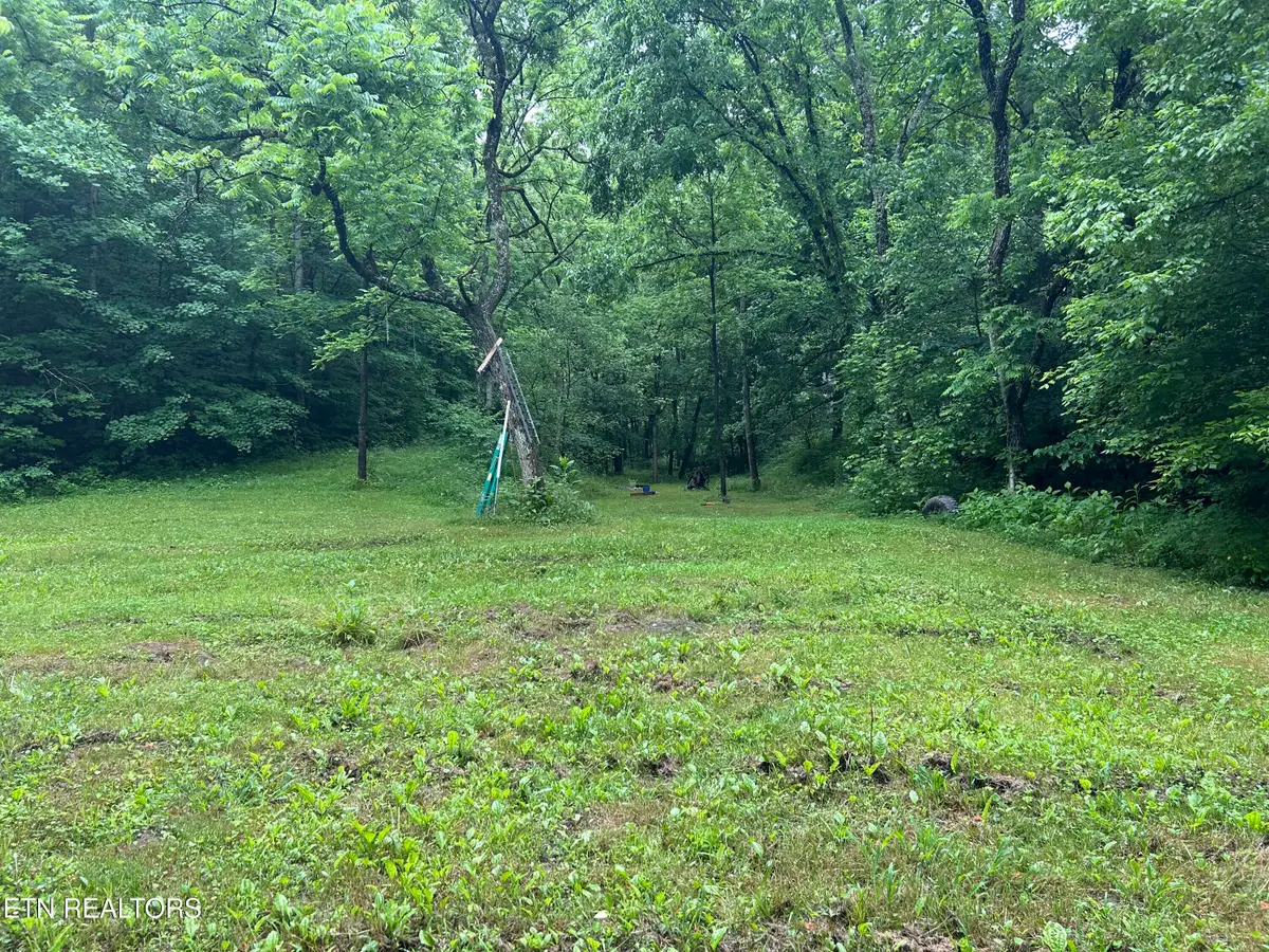 Carlos Rd, Sneedville, TN 37869 - #1