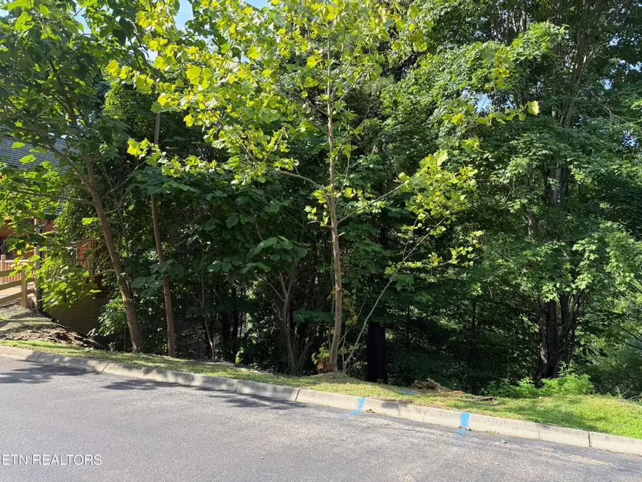 Lot 56 Smoky Ridge Way #Lot 56, Sevierville, TN 37876 - #3