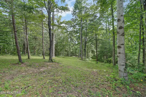 106/108 Rotherham Drive, Fairfield Glade, TN 38558