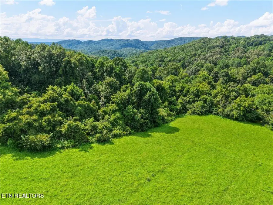 579 & 565 Harless Rd, Corryton, TN 37721 - #2