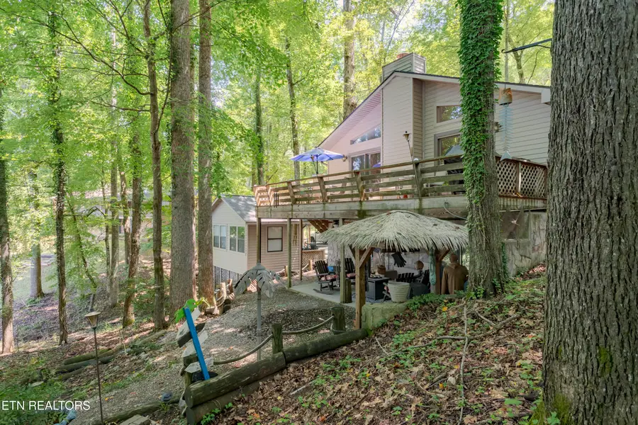 579 Dogwood Lane, Spring City, TN 37381 - #2