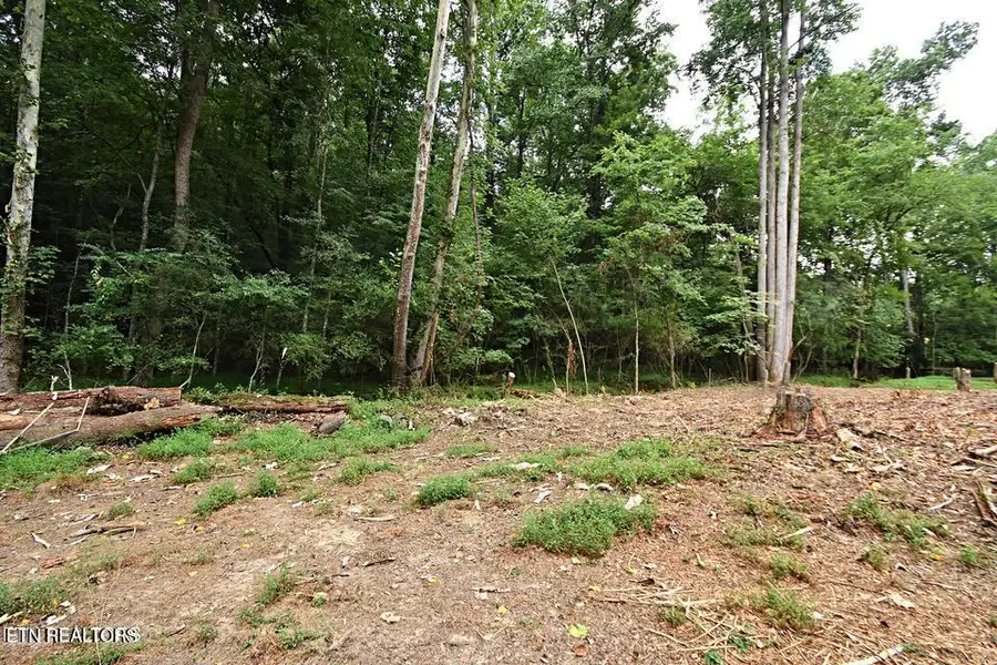 0 Early Rd #4, Knoxville, TN 37922 - #3