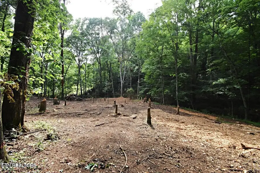 0 Early Rd #2a, Knoxville, TN 37922 - #3
