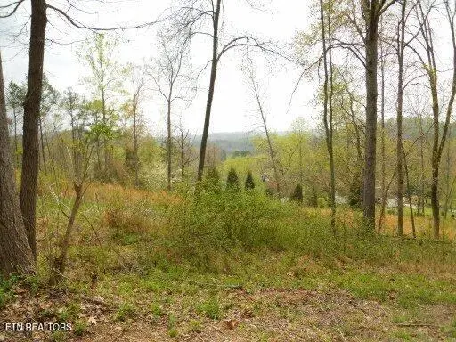 Vann Drive, Harriman, TN 37748 - #1
