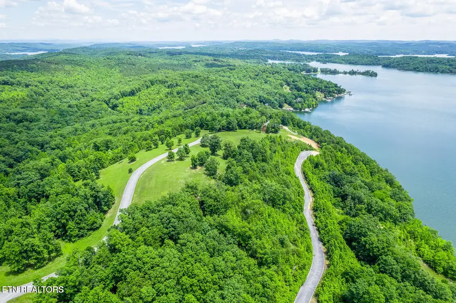472 Hidden Forest Tr, Spring City, TN 37381 - #3