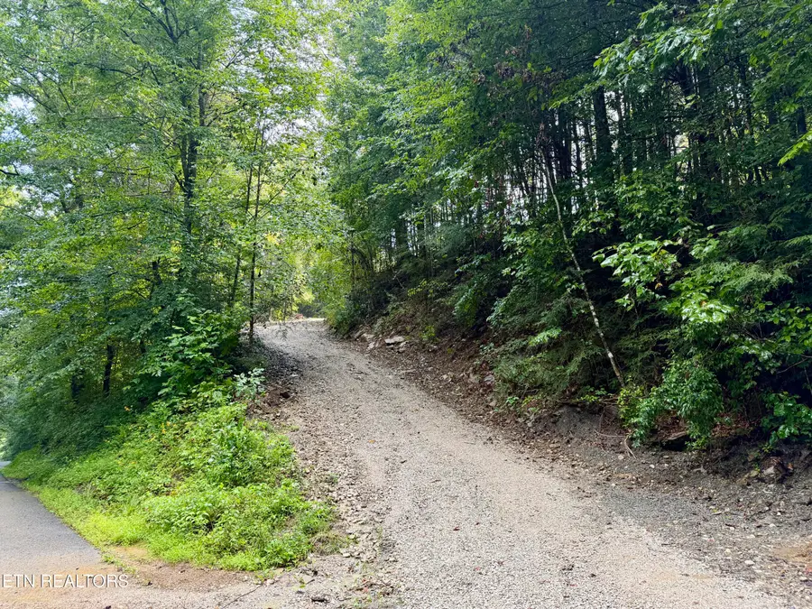 0 Melvin Hollow Rd, Pioneer, TN 37847 - #3