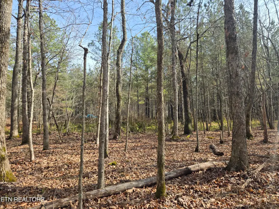 0 Cottonwood Tr, Sunbright, TN 37872 - #3