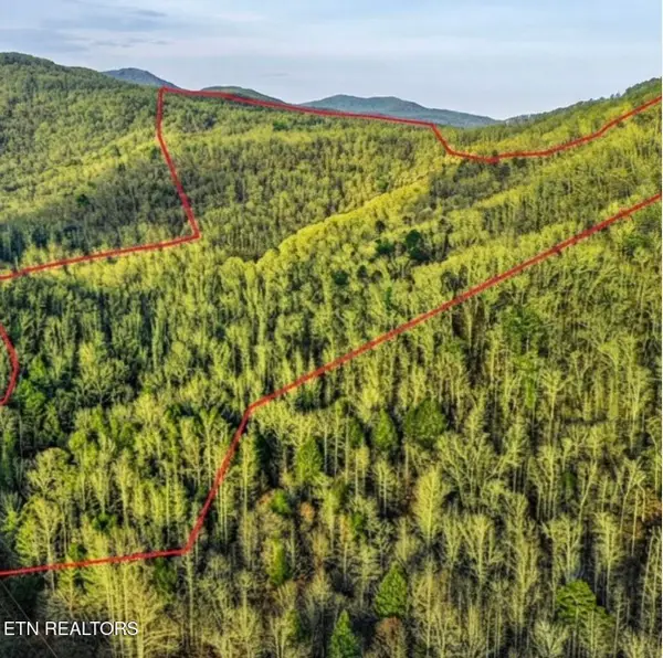 0 Hoskins Gap Rd, Oliver Springs, TN 37840