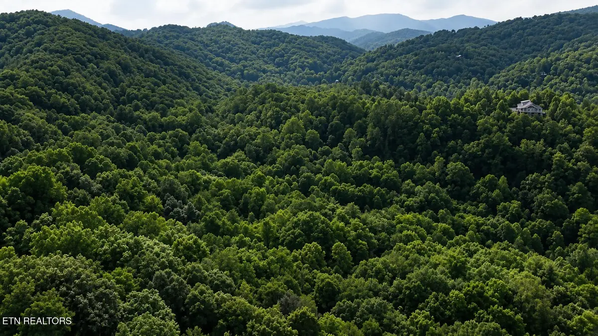 S Clear Fork Rd, Sevierville, TN 37862 - #1