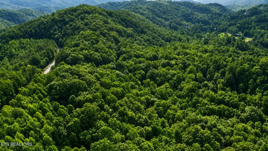 S Clear Fork Rd, Sevierville, TN 37862 - #2