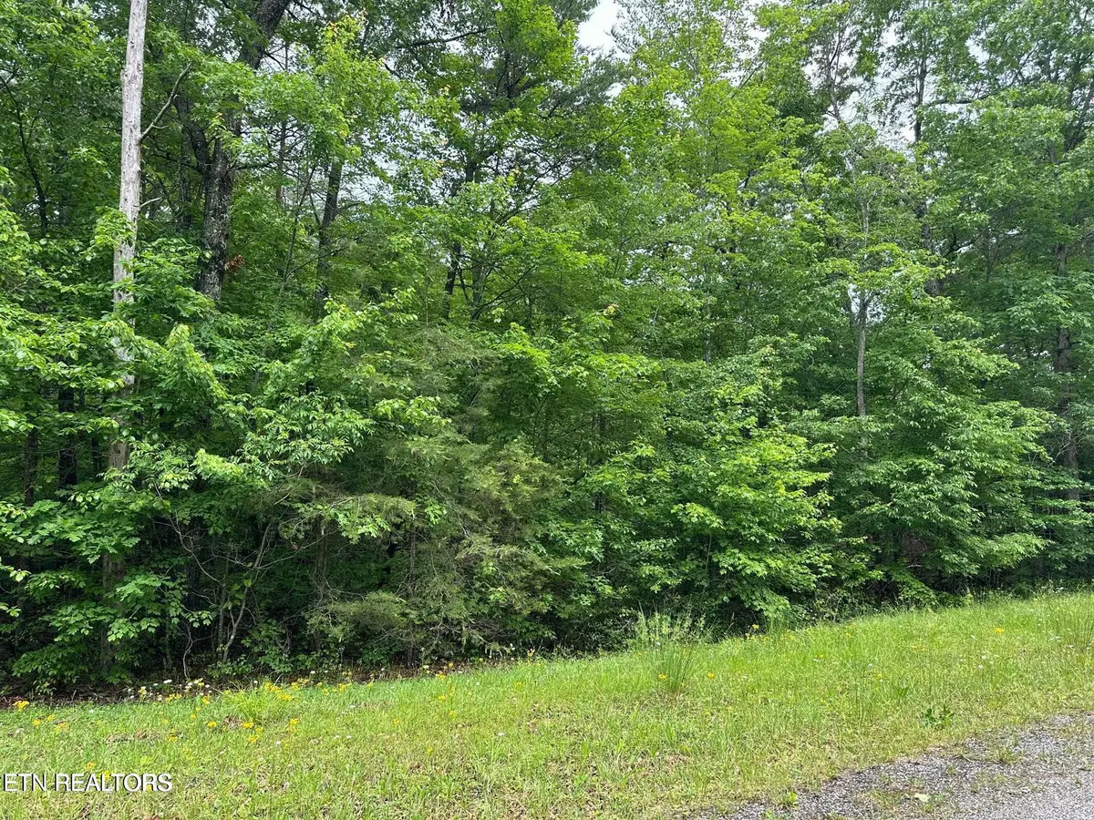 Laurel Loop, Monterey, TN 38574 - #1